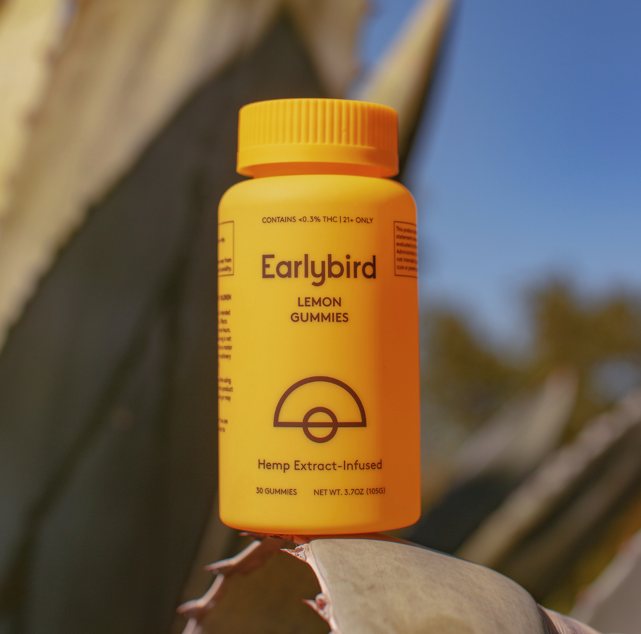 Best CBD For Dog Anxiety: Discover Natural Calm Solutions Today